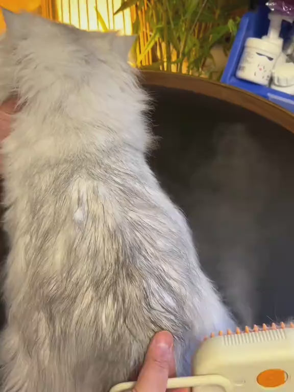 3-in-1 Steam Spray Grooming Brush for Cats & Dogs
